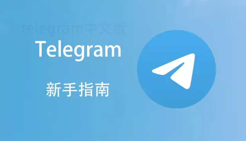 纸飞机中文版下载的正确步骤是什么? 二